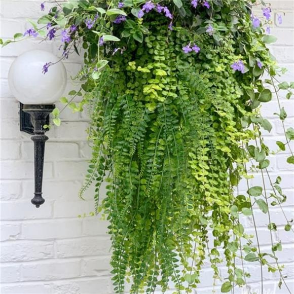 Artificial Hanging Plants Fake Plants Ferns Faux Hanging Plants  (2 Pcs) - Picture 6 of 7